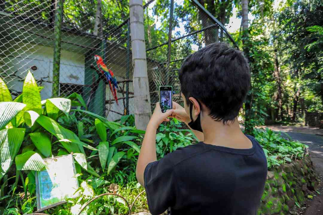 Bosque Zoológico Fábio Barreto É Opção De Passeio Para O Recesso Escolar
