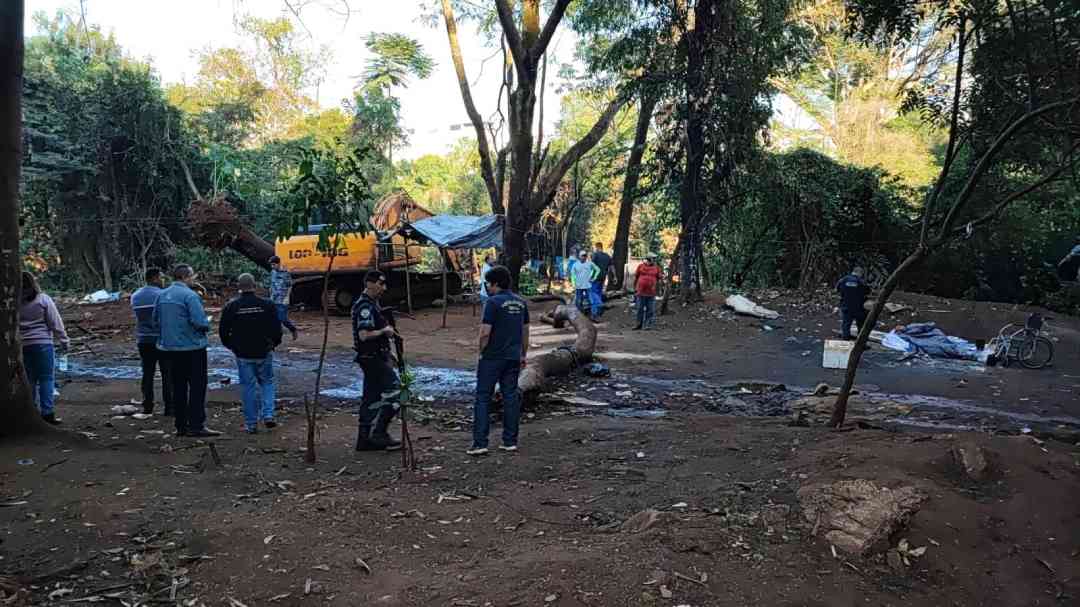 Prefeitura De Ribeirão Realiza Ação Contra Descarte Irregular De Resíduos Em Área De Preservação Permanente