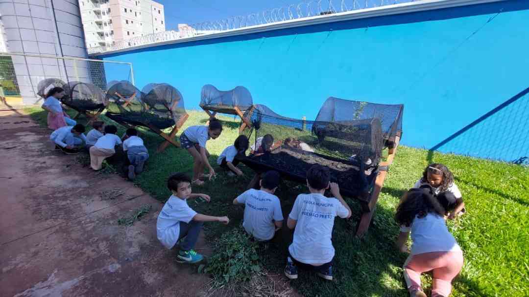 Hortas Escolares: cultivando conhecimento e sustentabilidade nas escolas municipais
