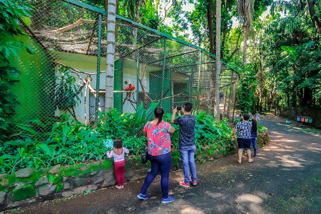 Bosque Zoológico Fábio Barreto é opção de lazer para toda a família