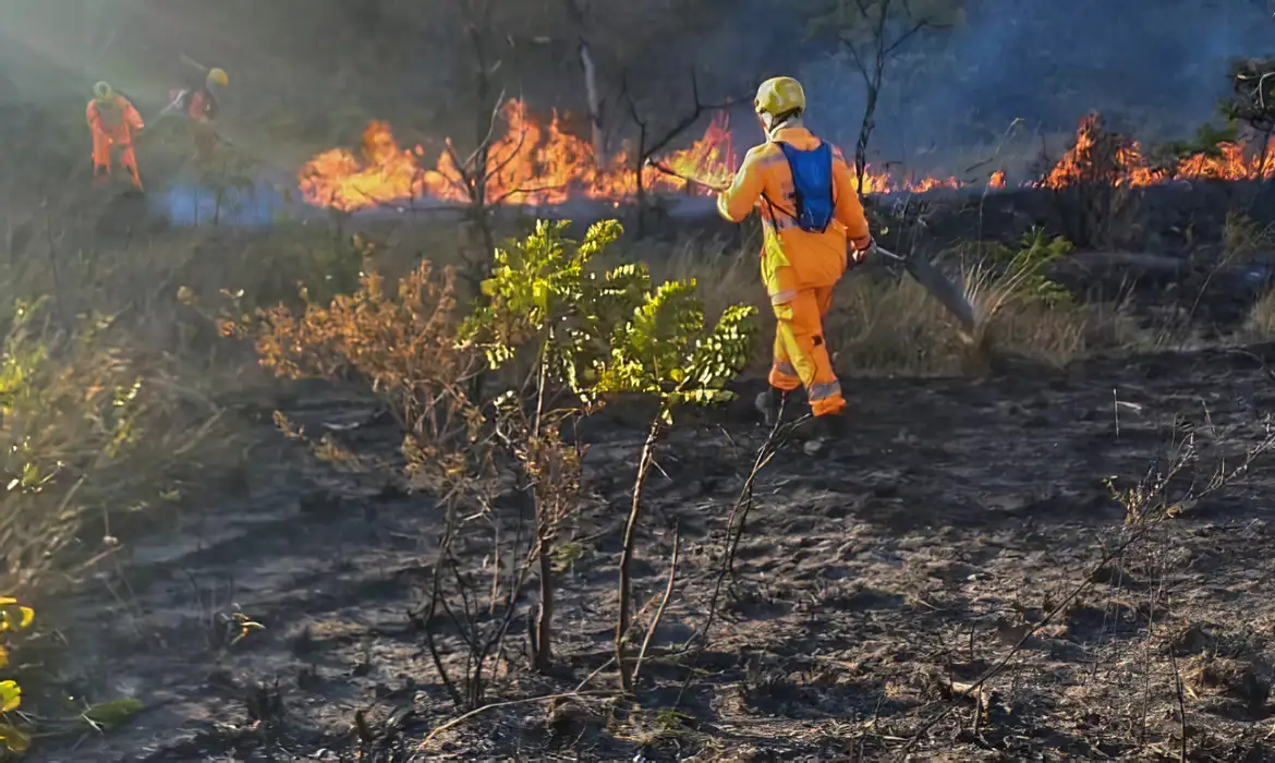 Incêndios atingem milhares de hectares em parques de Minas Gerais