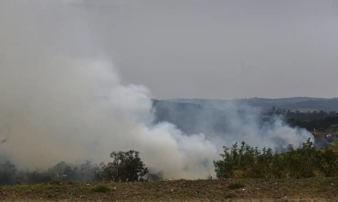 Cinco cidades do estado de São Paulo têm focos de incêndio ativos