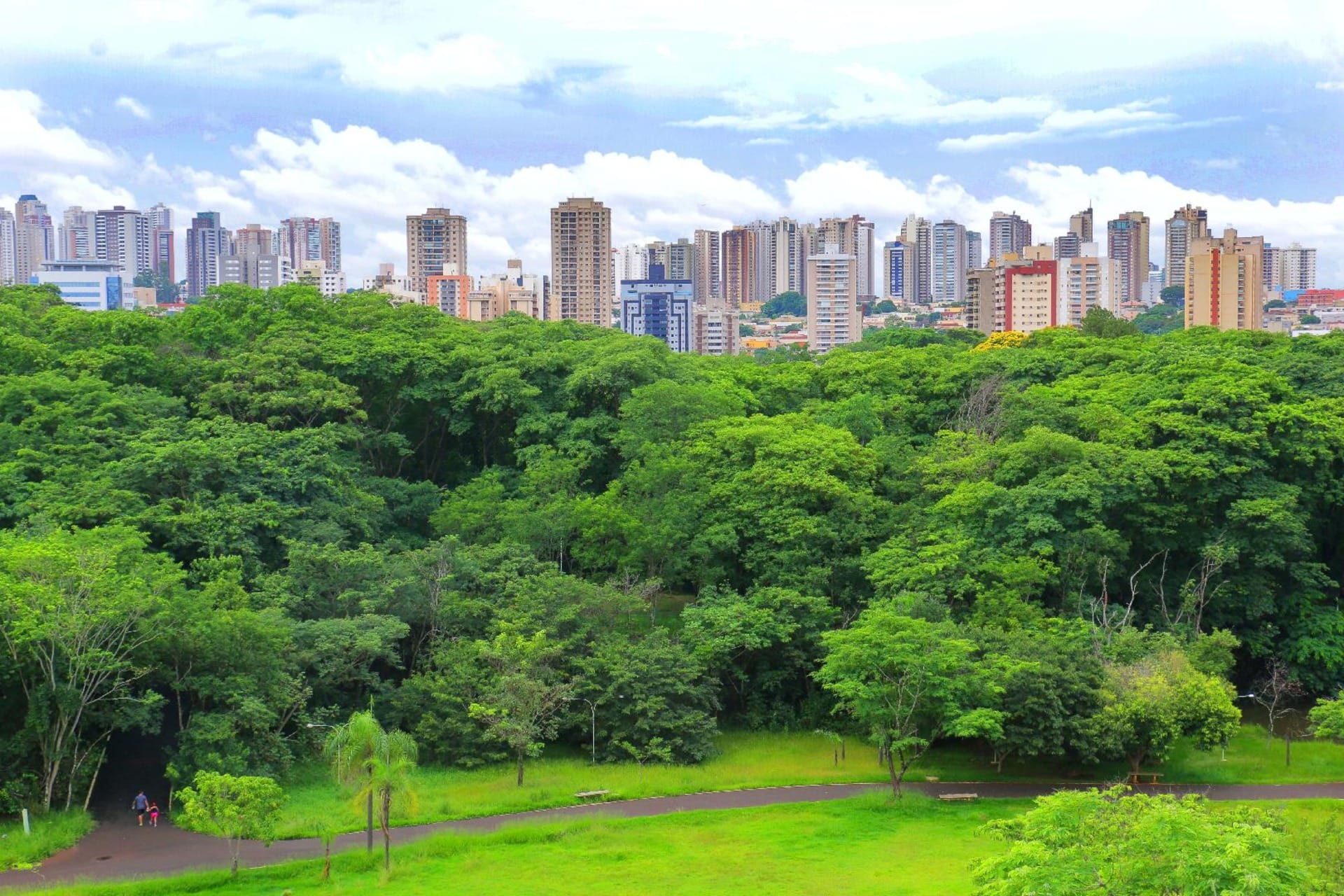 5ª Conferência Municipal do Meio Ambiente acontece no próximo sábado