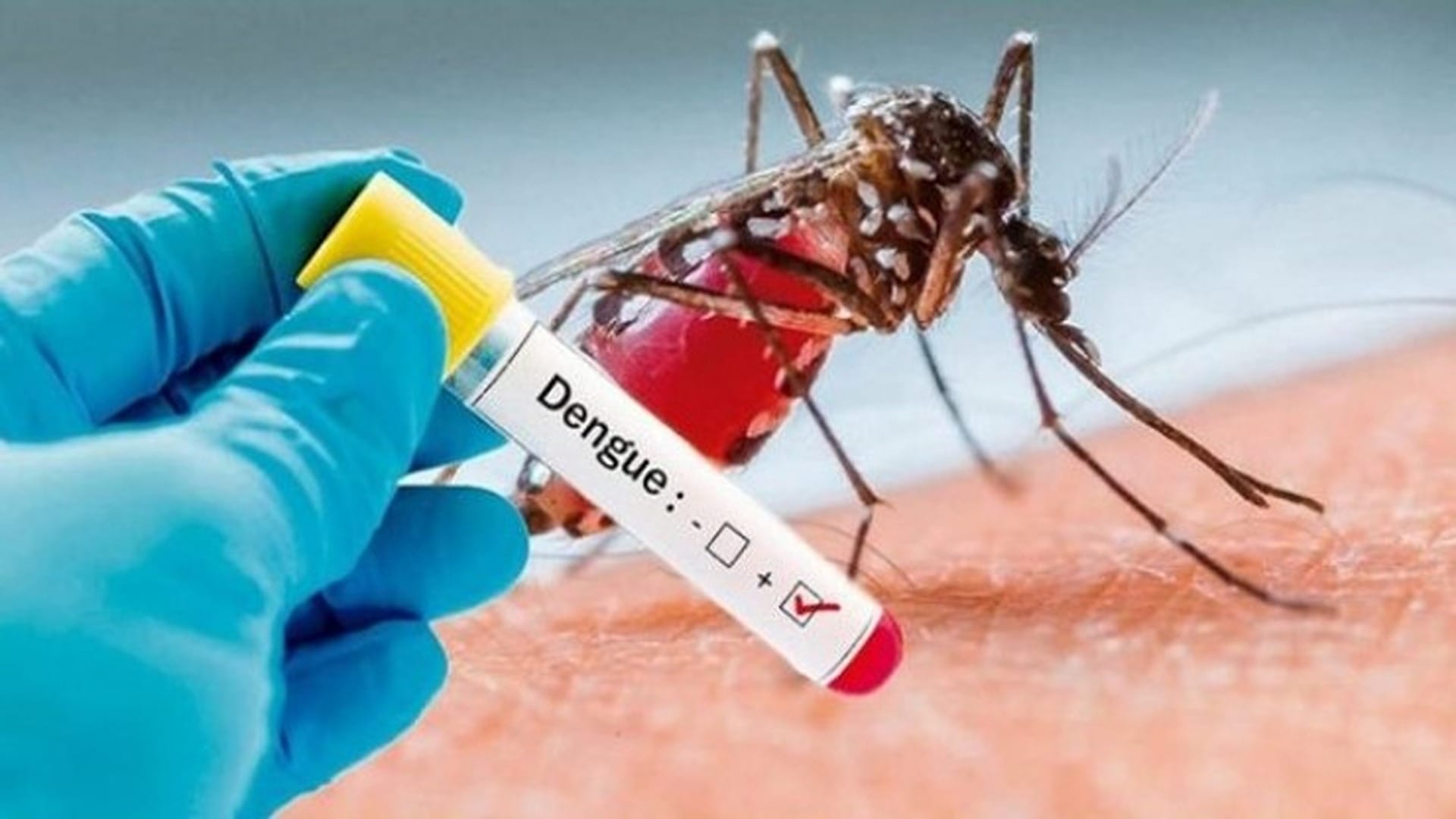 Epidemia em Jaboticabal: Cidade confirma 13ª morte por dengue em 2025