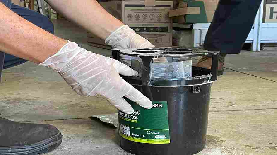 Ribeirão Preto inicia instalação de armadilhas contra a dengue