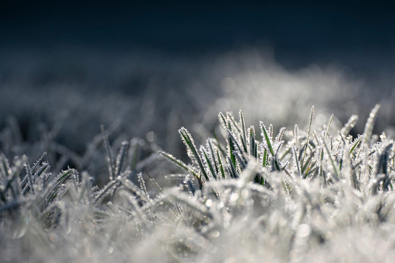 Frio intenso atinge região de Ribeirão Preto com mínima de 1,2ºC e geada em cidades do interior