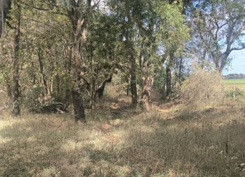 Área do Tirisco passa por limpeza para construção de pista de caminhada e ciclovia