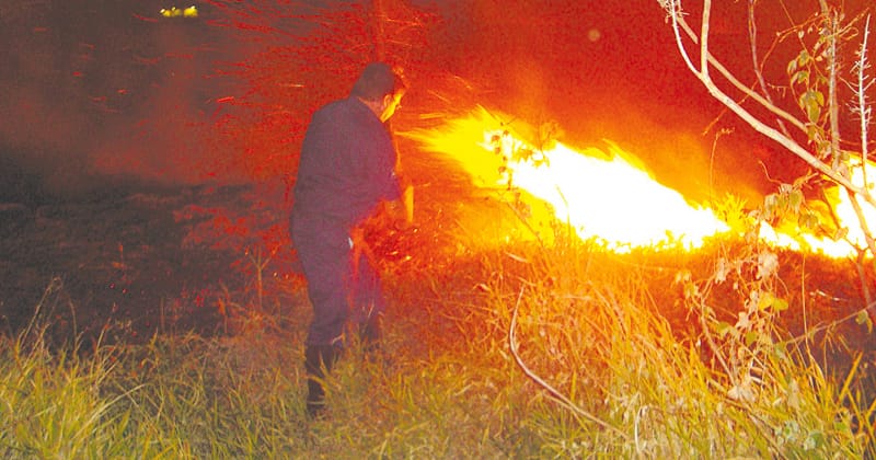 Ministério Público e órgãos reforçam ações contra incêndios na região de Ribeirão Preto
