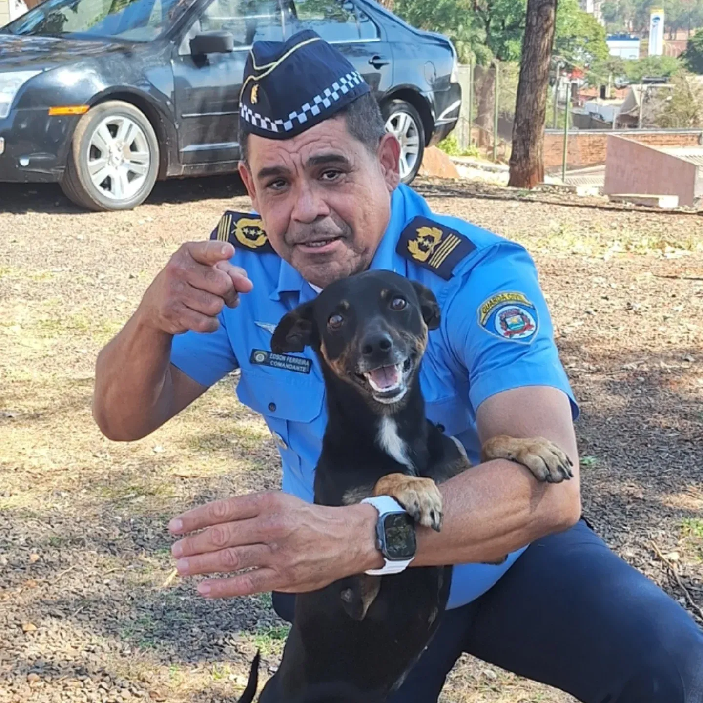 GCM de Ribeirão Preto adota cão resgatado no Jardim Palmares e inicia treinamento