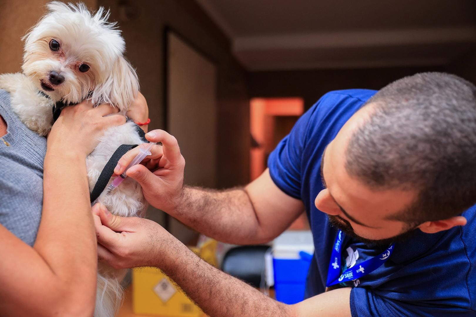 Ribeirão Preto amplia pontos de vacinação antirrábica a partir de 1º de outubro