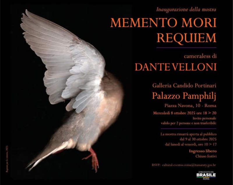 Artista ribeirão-pretano Dante Velloni leva série inédita ao Palazzo Pamphilj, em Roma