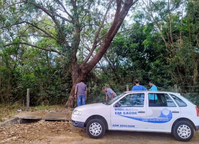 Córrego Lagoa em Santa Rosa de Viterbo é vistoriado após proliferação de pernilongos