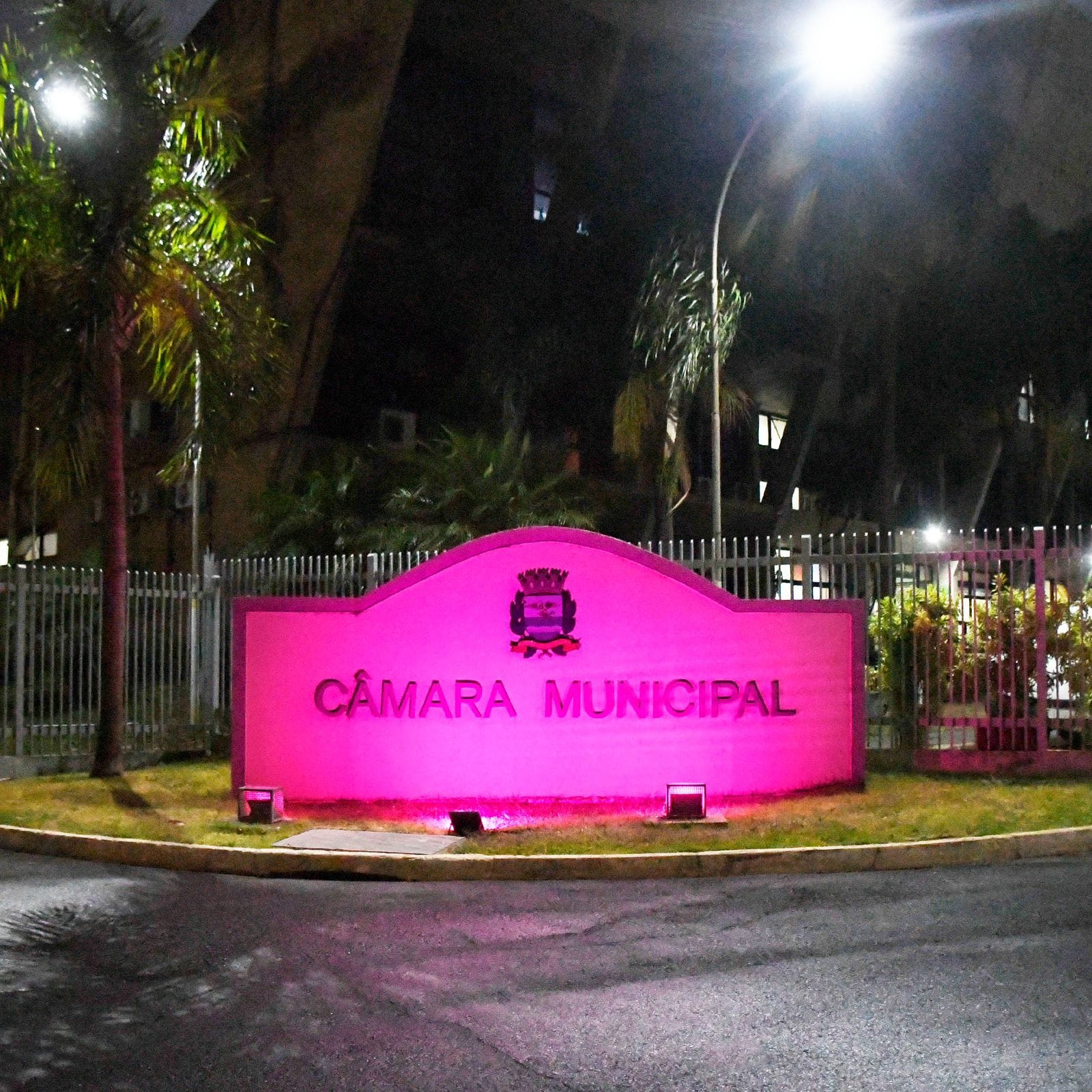 Câmara de Ribeirão Preto ilumina fachada em apoio ao Outubro Rosa