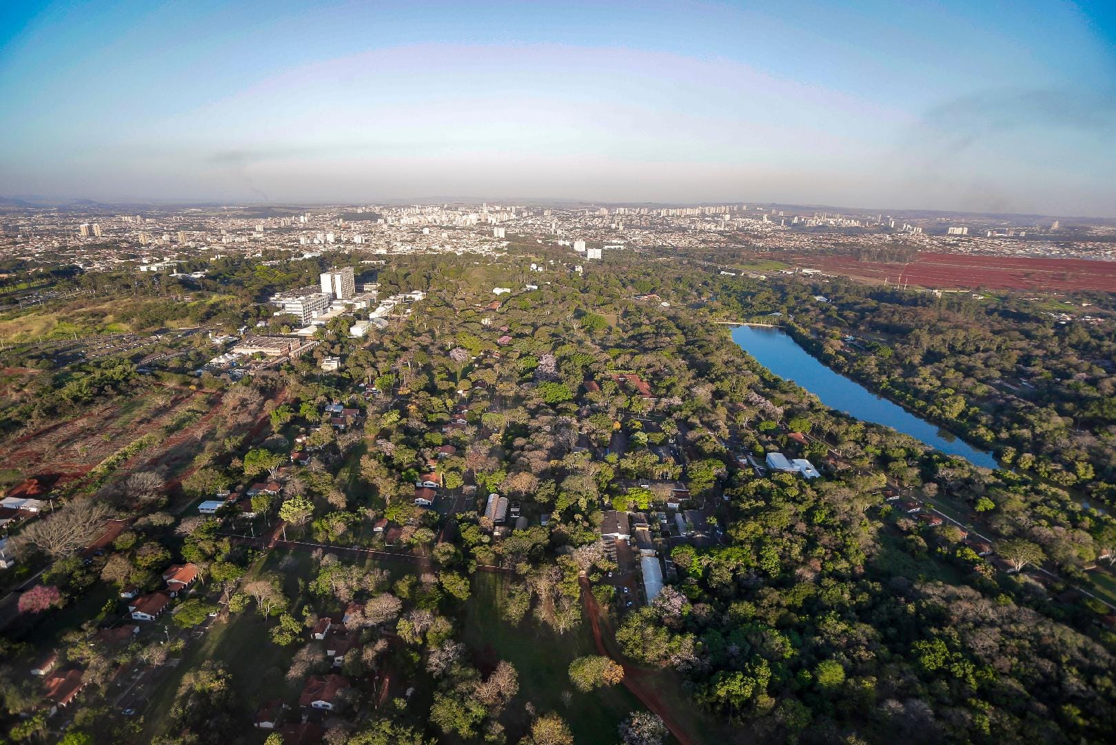 Ribeirão Preto avança em seleção internacional com projeto para corredores verdes e preservação de abelhas