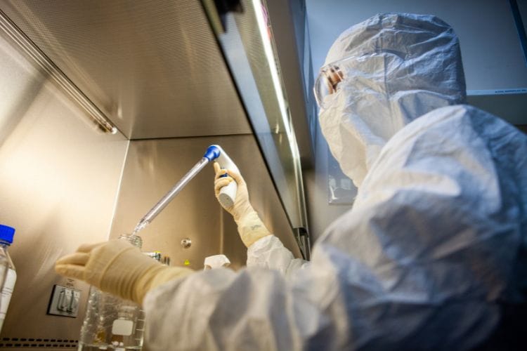 Butantan fecha parceria com empresa dos EUA para desenvolver anticorpo contra febre amarela