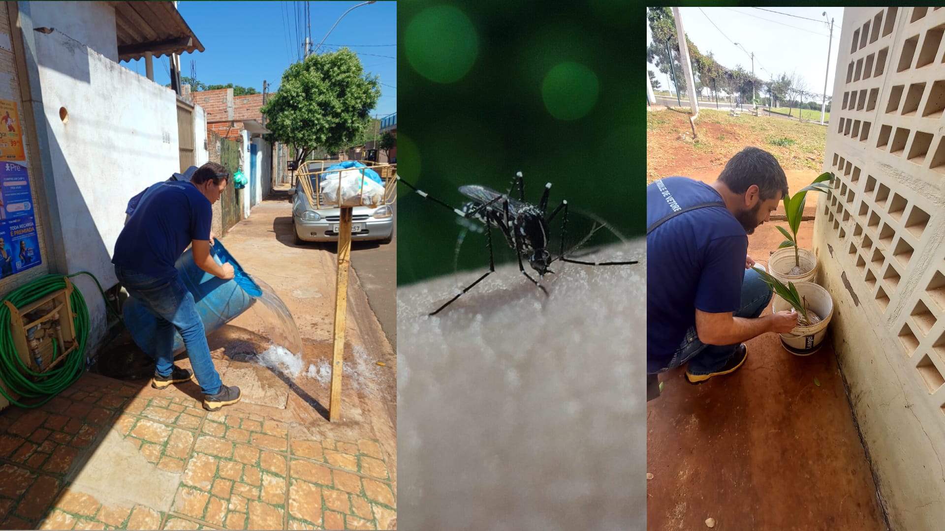Sertãozinho realizou bloqueio de criadouros após casos de dengue em três bairros