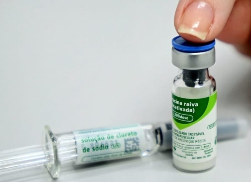 Agendamento da vacina antirrábica em Santa Rosa de Viterbo será suspenso nesta semana; retorno em 10/11