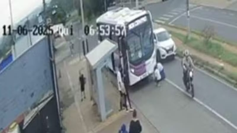 Vídeo mostra ônibus atropelando e matando cachorro na zona Norte de Ribeirão Preto