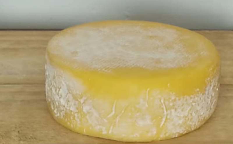 Vereador protocola projeto para reconhecer queijo canastra como patrimônio imaterial de Ribeirão Preto