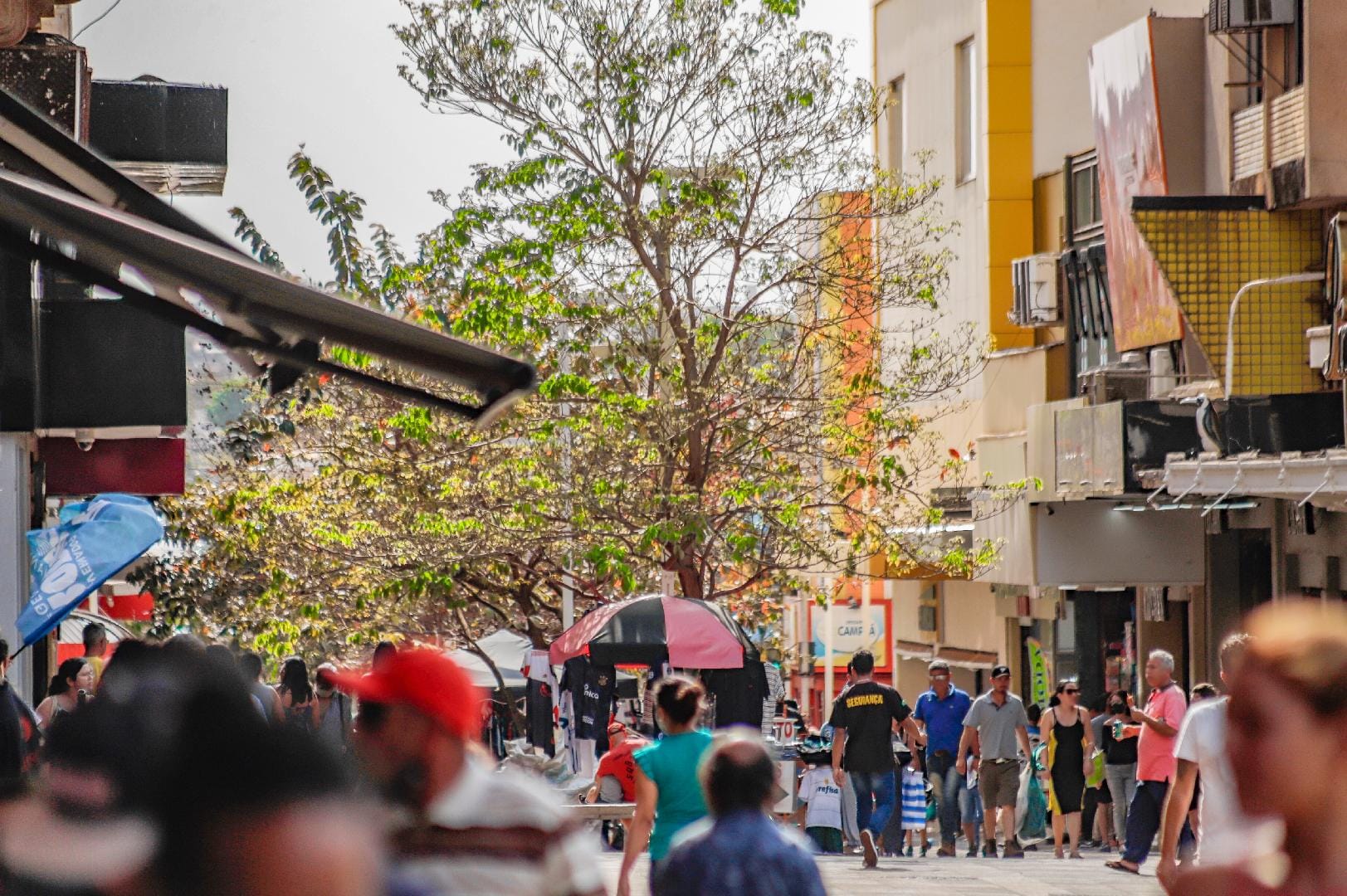 Prefeitura de Ribeirão Preto divulga funcionamento dos serviços durante Natal e Ano Novo