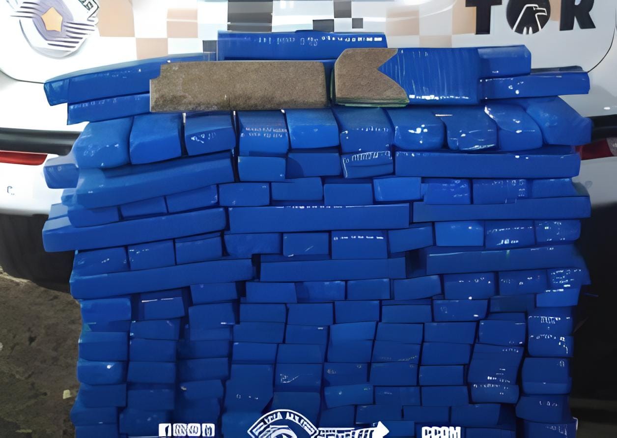 PM apreende cerca de 190 kg de maconha após motorista fugir em vicinal perto de Santo Antônio da Alegria