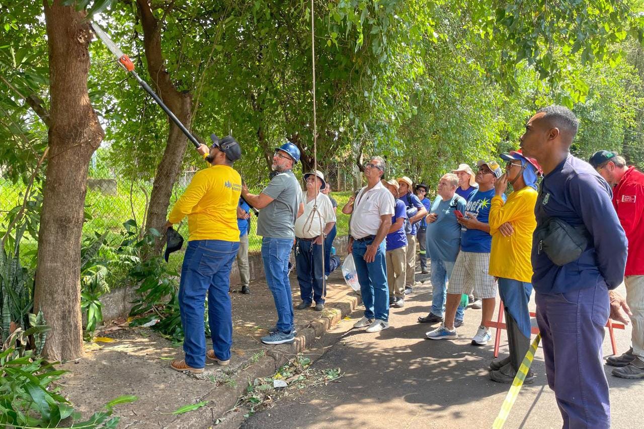 Ribeirão Preto credencia 86 podadores após capacitação para evitar podas irregulares