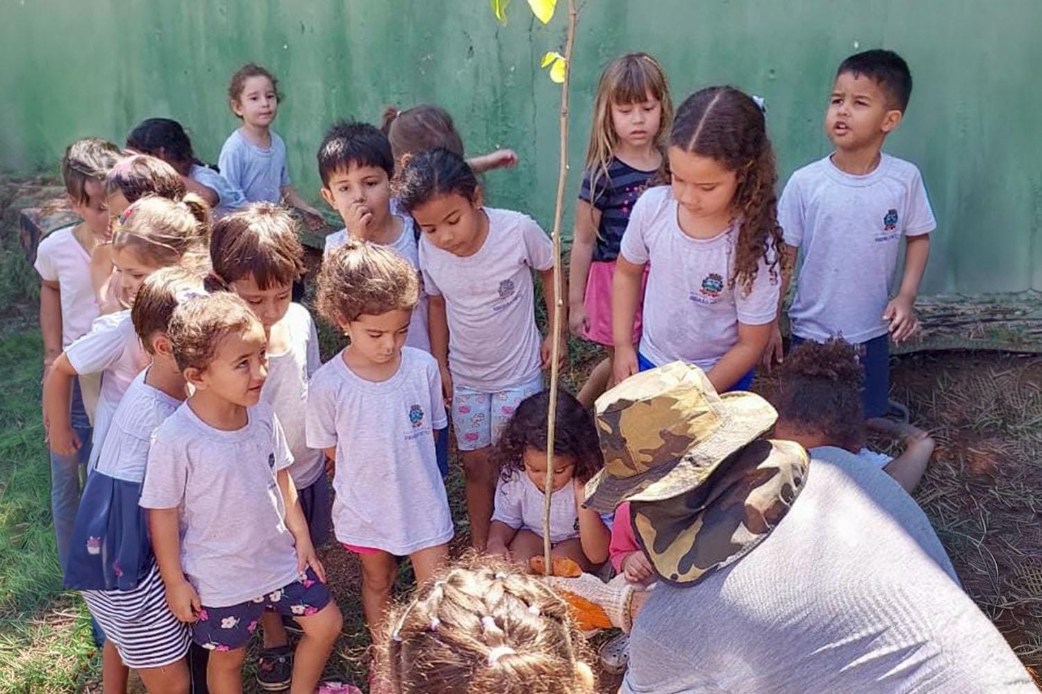 Escola do Jardim Sumaré recebeu minicafezal didático do programa Planta Aí Ribeirão