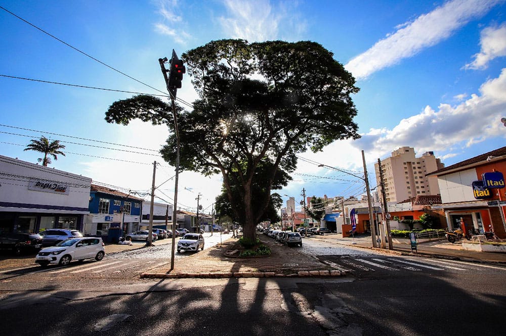 Avenida Nove de Julho recebe 2º Festival Pé na Rua com Noel Móvel e programação cultural
