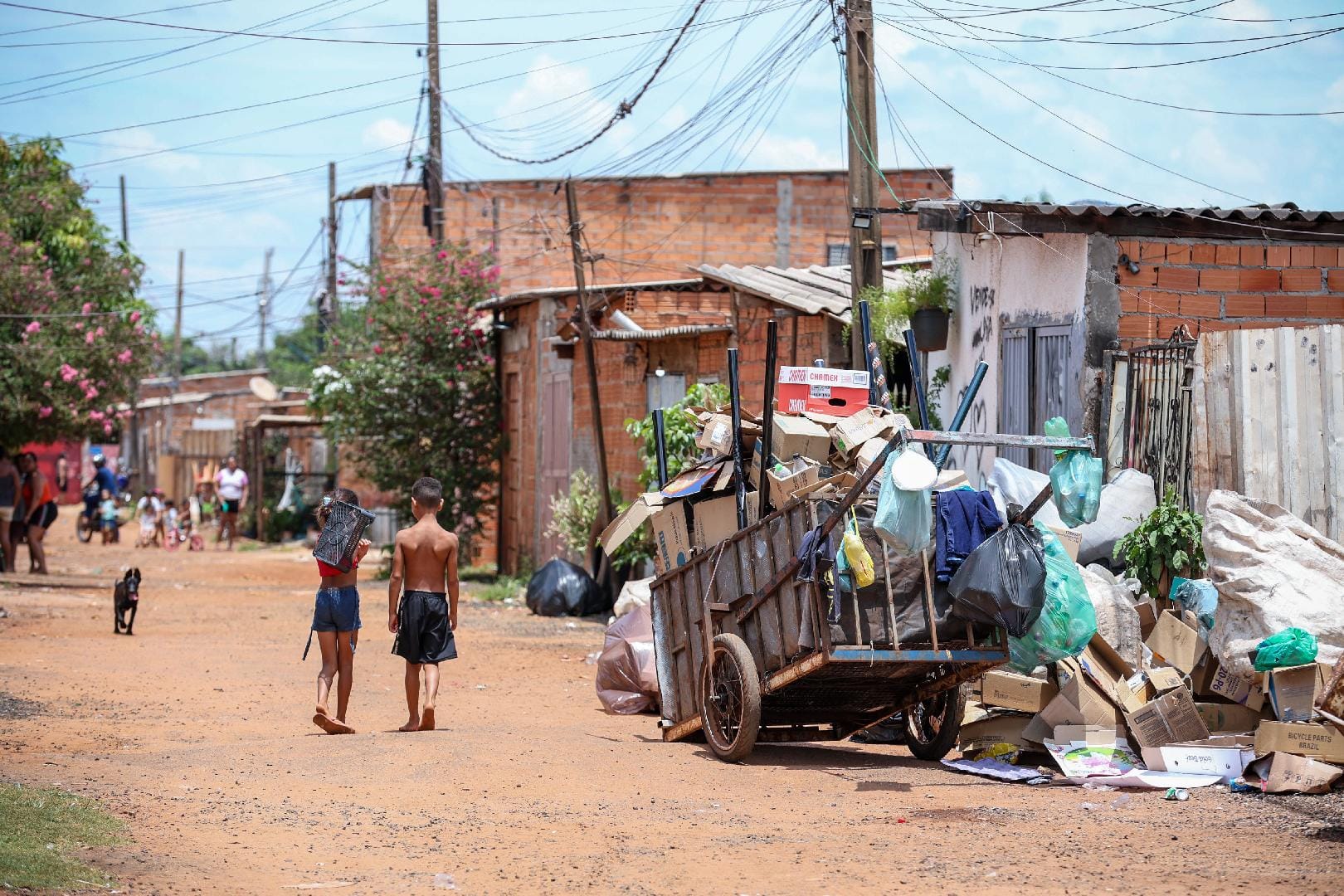 Censo do IBGE aponta mais de 23 mil moradores de favelas em Ribeirão Preto e destaca déficit em infraestrutura