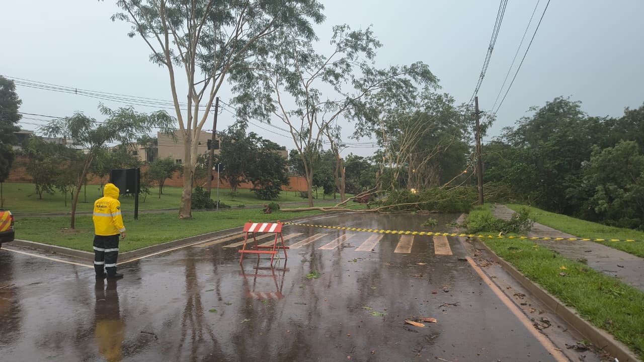 Ribeirão Preto entre as 10 cidades com maior acumulado de chuva em São Paulo