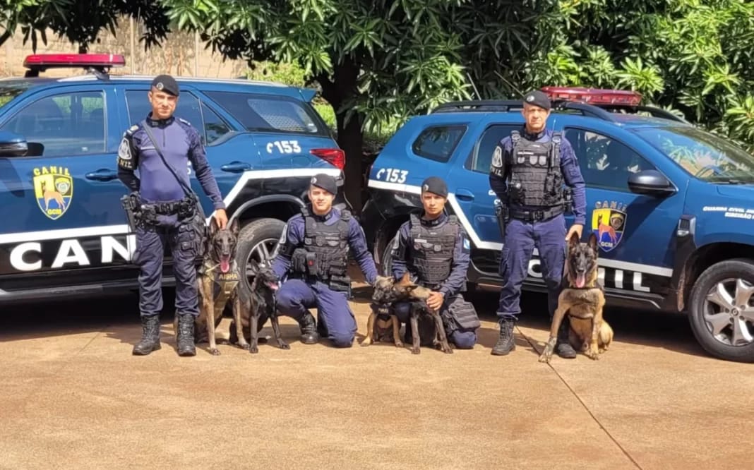 Canil da GCM de Ribeirão Preto investe em formação precoce para cães farejadores combaterem tráfico perto de escolas