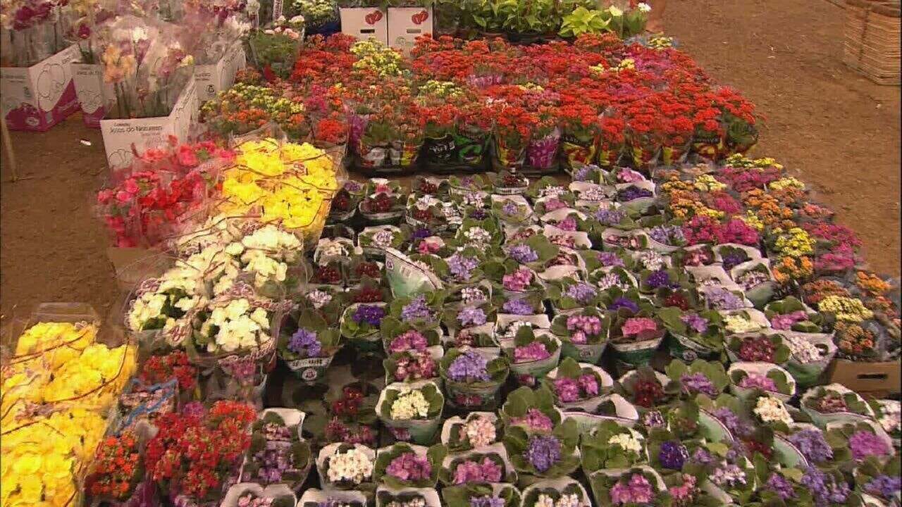 Festival de Natal na Ceagesp de Ribeirão Preto oferece flores, artesanato e entrada gratuita