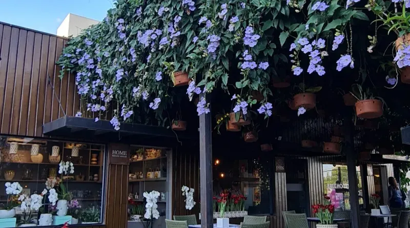 Feirinha de Natal na Galeria Renato Aguiar reúne produtores locais em dois dias de festa