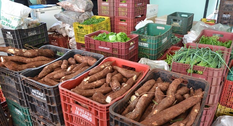 Banco Municipal de Alimentos de Franca amplia ações e planeja compra de veículo refrigerado