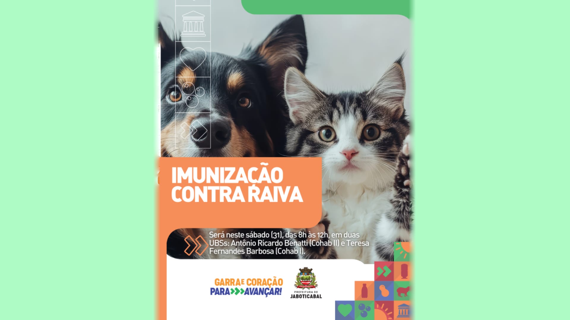 Jaboticabal fará vacinação antirrábica gratuita para cães e gatos no sábado