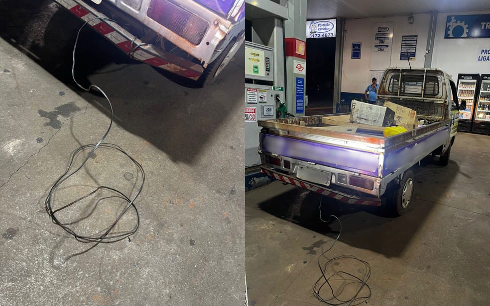 Idoso é filmado arrastando cadela prenha por quilômetros em Igarapava; animal e 10 filhotes morreram