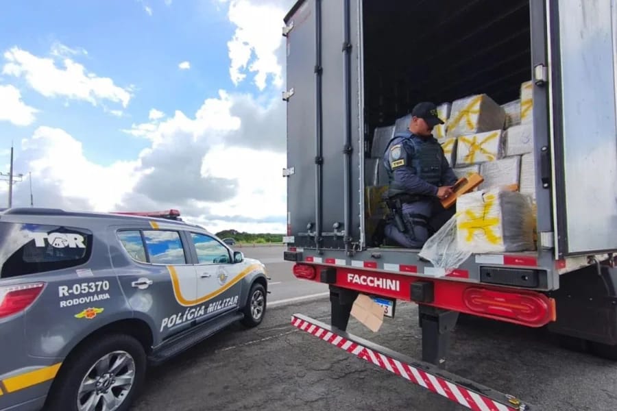 PM Rodoviária apreende 955 kg de maconha ocultos em carga de óleo na Rodovia Castelo Branco