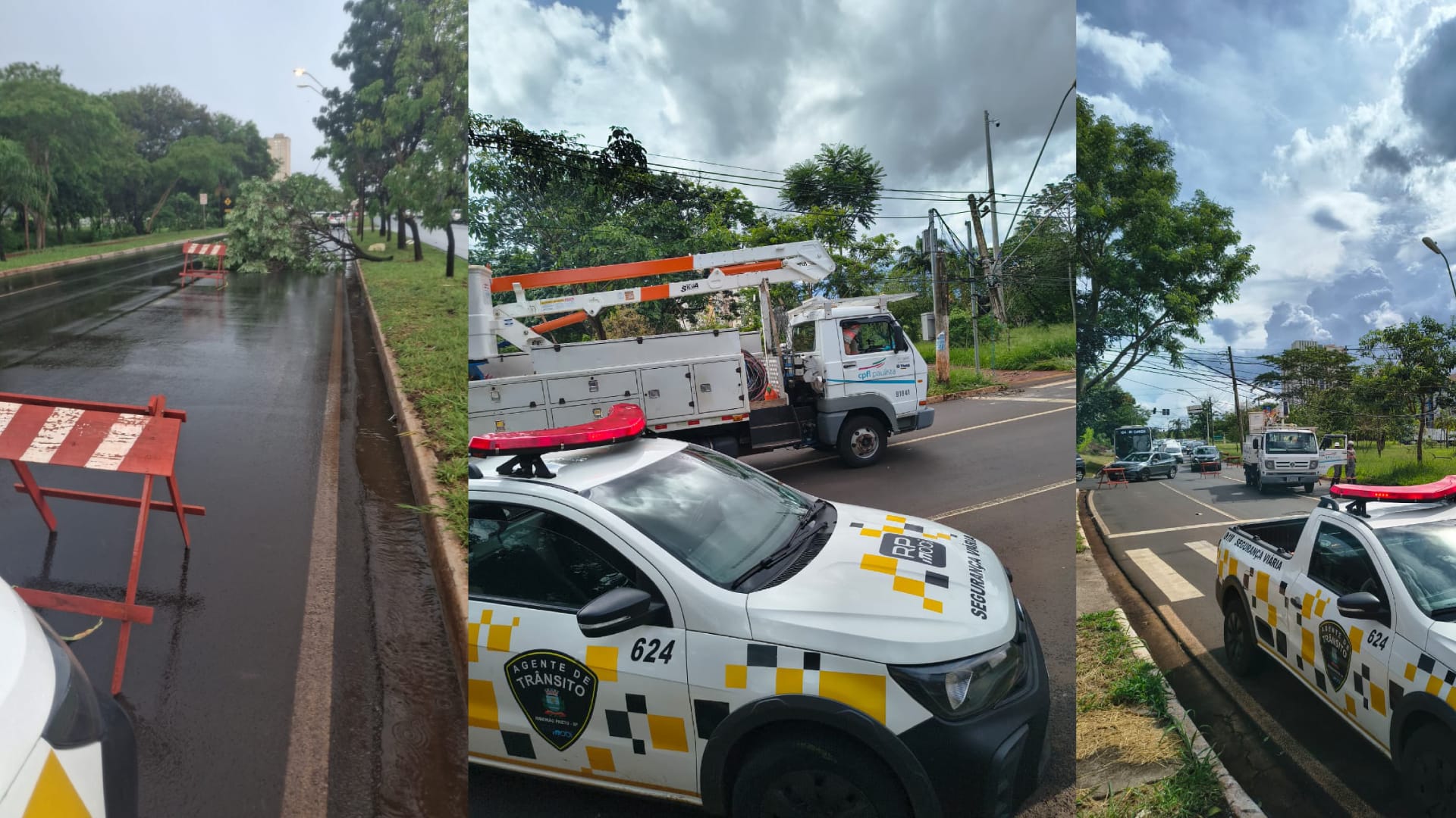 Chuva causa pontos de alagamento e queda de árvores em avenidas de Ribeirão Preto; trânsito tem interdições parciais