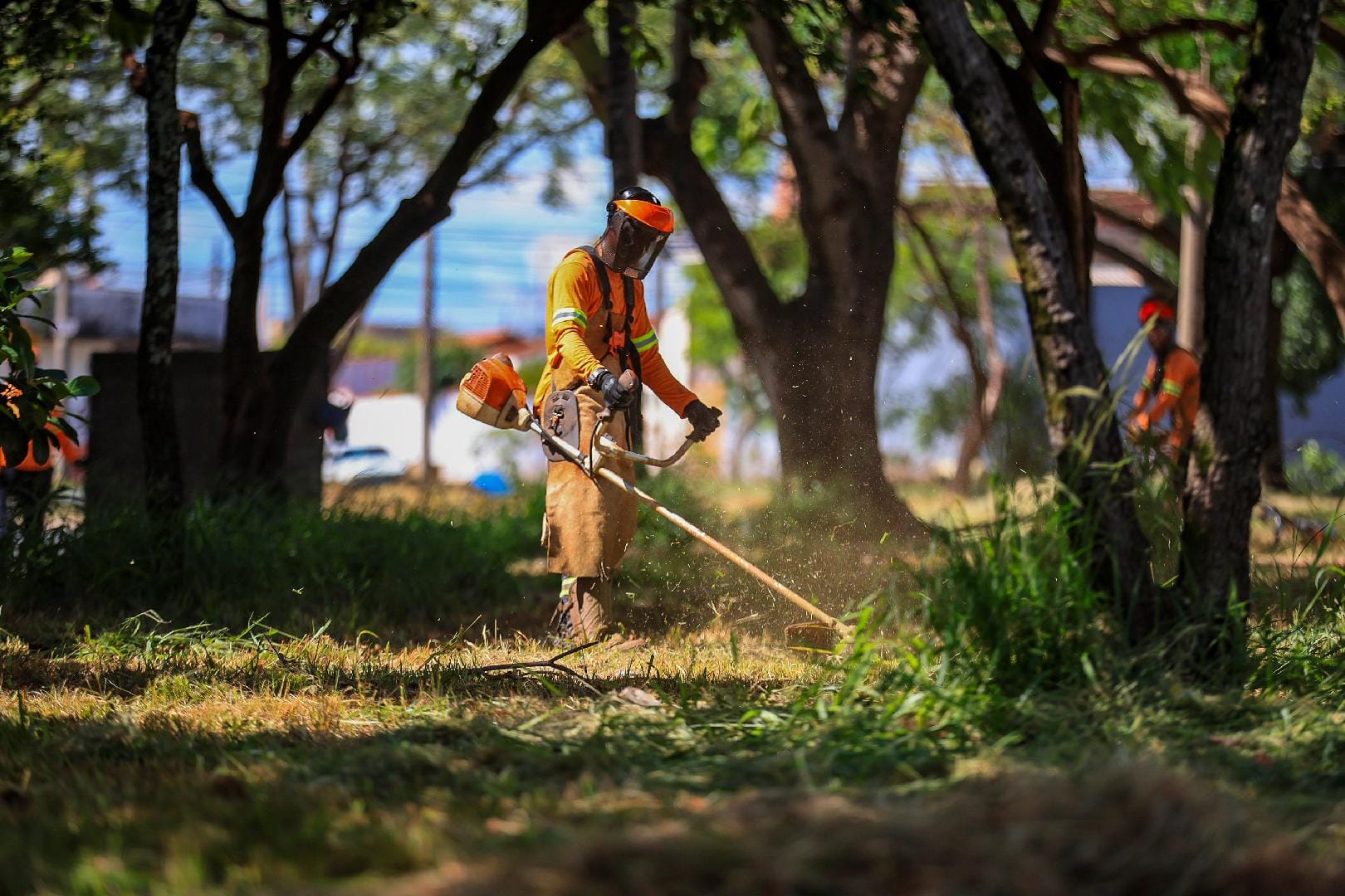 Prefeitura intensifica roçagem em avenidas de Ribeirão Preto com operação 'Frente Verde' durante o Carnaval