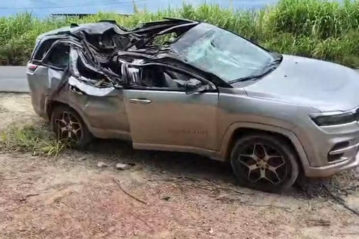 Bebê de 1 ano morre após eucalipto cair sobre carro na MG-444; investigação mira proprietário da plantação