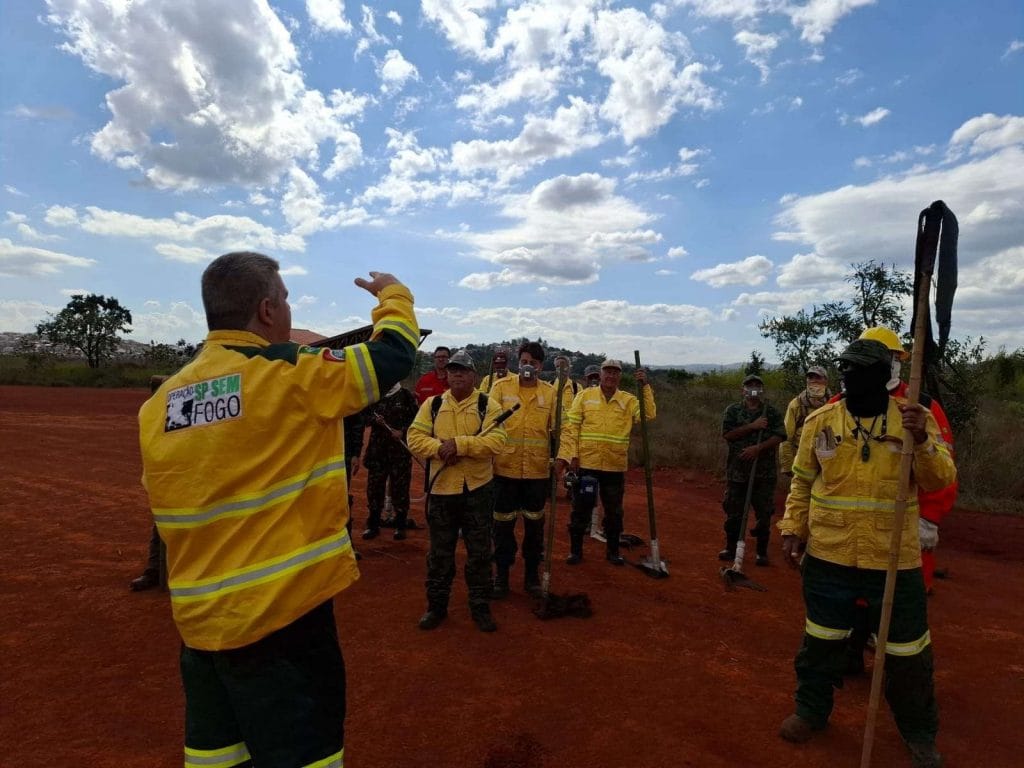 Fundação Florestal abre 243 vagas temporárias para brigadistas com inscrições até 11 de março