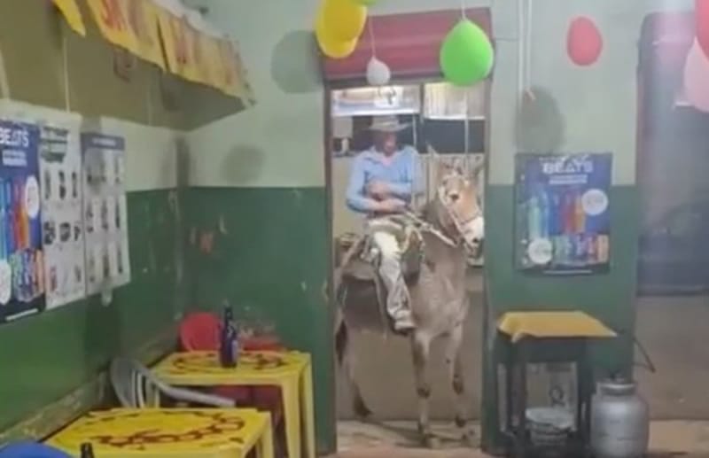 Homem é investigado após ser filmado agredindo mula para fazê-la entrar em bar