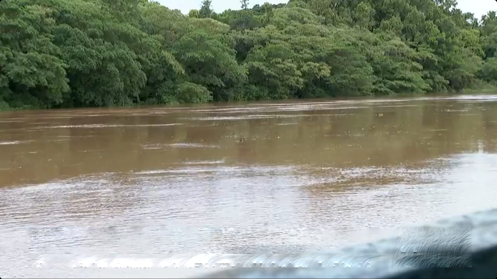 Nível do Rio Pardo sobe a 2,81 m em Ribeirão Preto; alerta por mais chuvas segue ativo