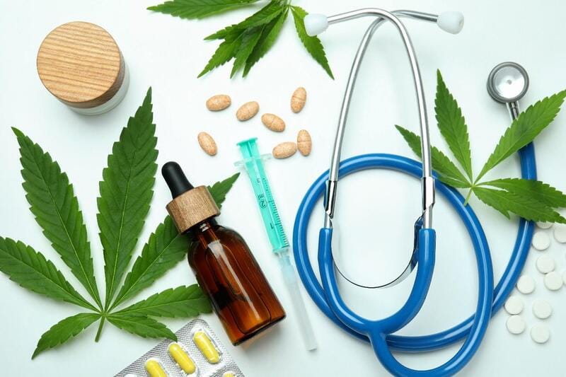 Anvisa aprova regras para cultivo de cannabis medicinal e amplia acesso a pacientes