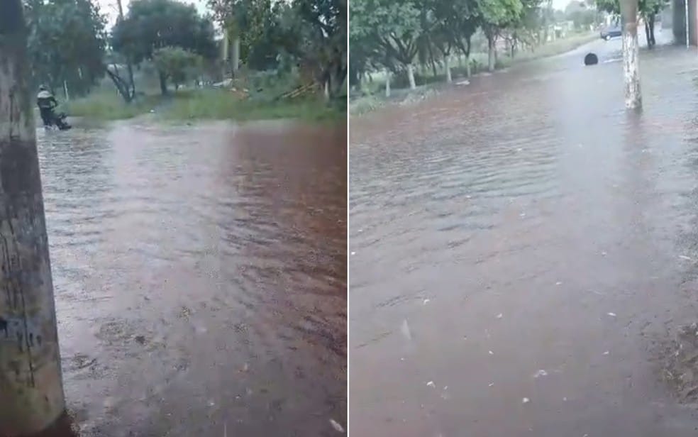 Chuva vespertina causou alagamentos e queda de galhos em vários pontos de Ribeirão Preto