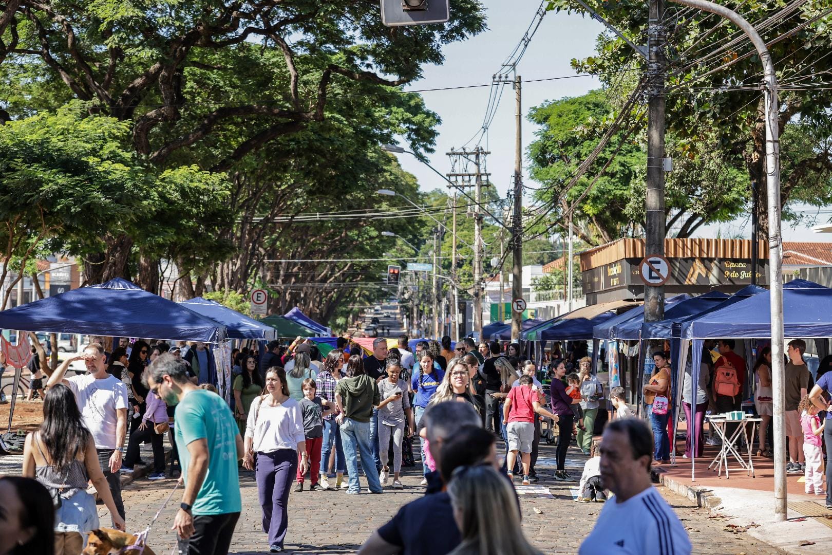 Viva a Nove retorna à Avenida Nove de Julho com música, gastronomia e atrações para a família