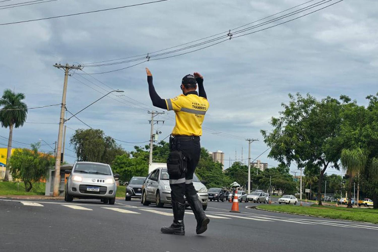 Trechos do Centro de Ribeirão Preto terão interdições nesta quarta para poda e instalação de gás
