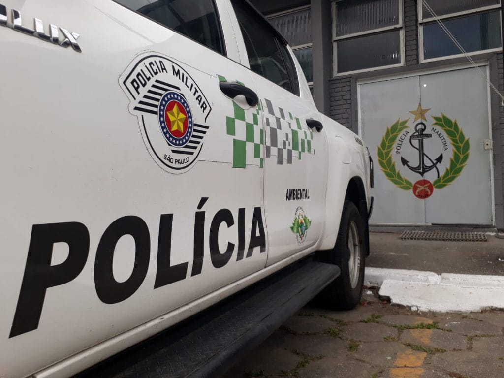 Operação contra comércio ilegal de animais mobiliza Ribeirão Preto e apreende dezenas de espécies