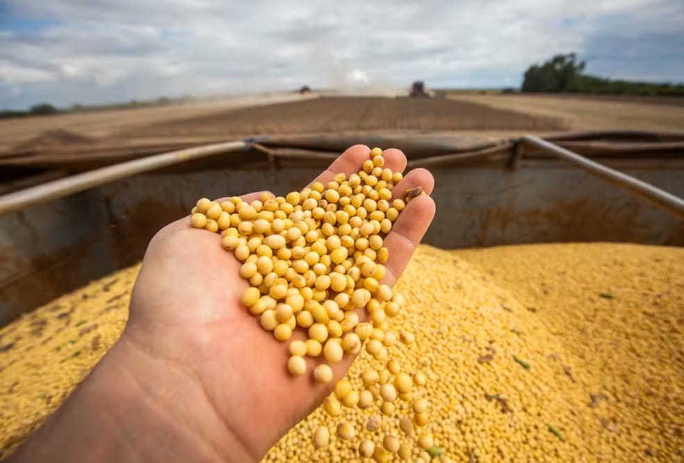 Venda de máquinas por troca de grãos cresce e vira alternativa ao crédito em Ribeirão Preto