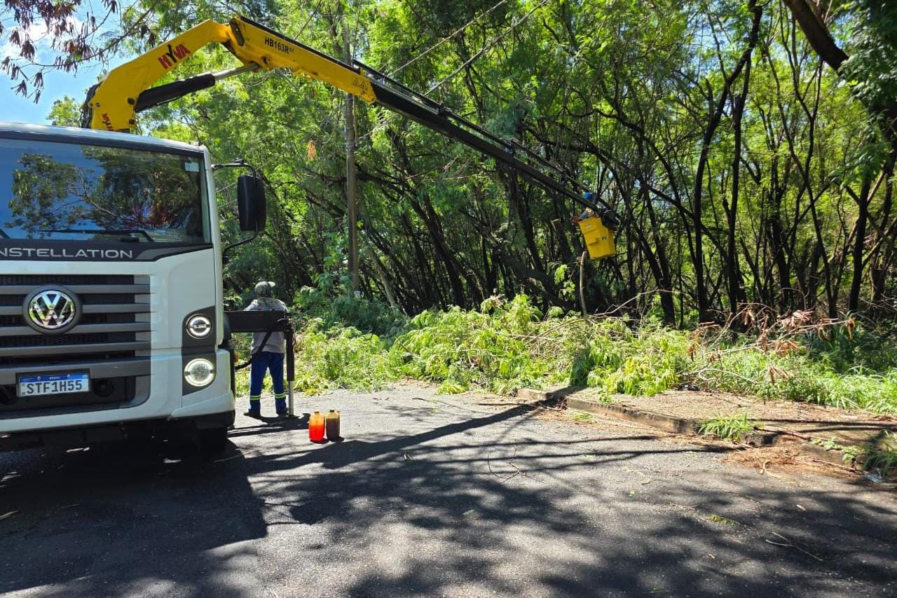 Prefeitura de Ribeirão Preto mobiliza equipes após tempestade e restabelece tráfego na cidade